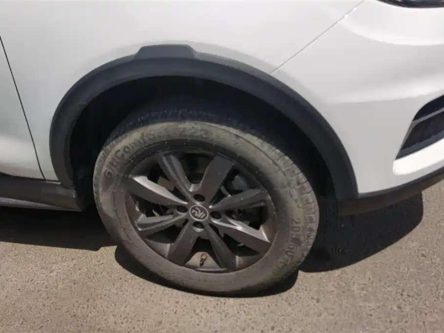 BYD Yuan New Energy 2019 EV535 Smart Connected Trend Leader Type фото 6