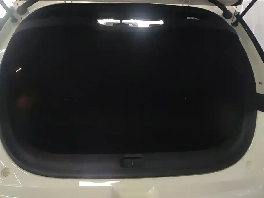 BYD Dolphin 2024 Glory Edition 420km Freedom Edition фото 4