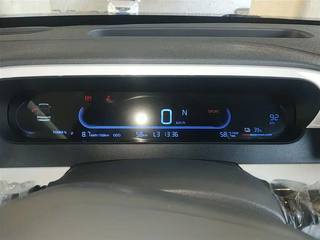 Geely Galaxy Panda 2025 Panda mini 210km Vitality Bear фото 12