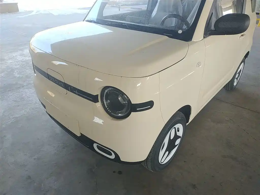 Geely Galaxy Panda 2025 Panda mini 210km Vitality Bear фото 24
