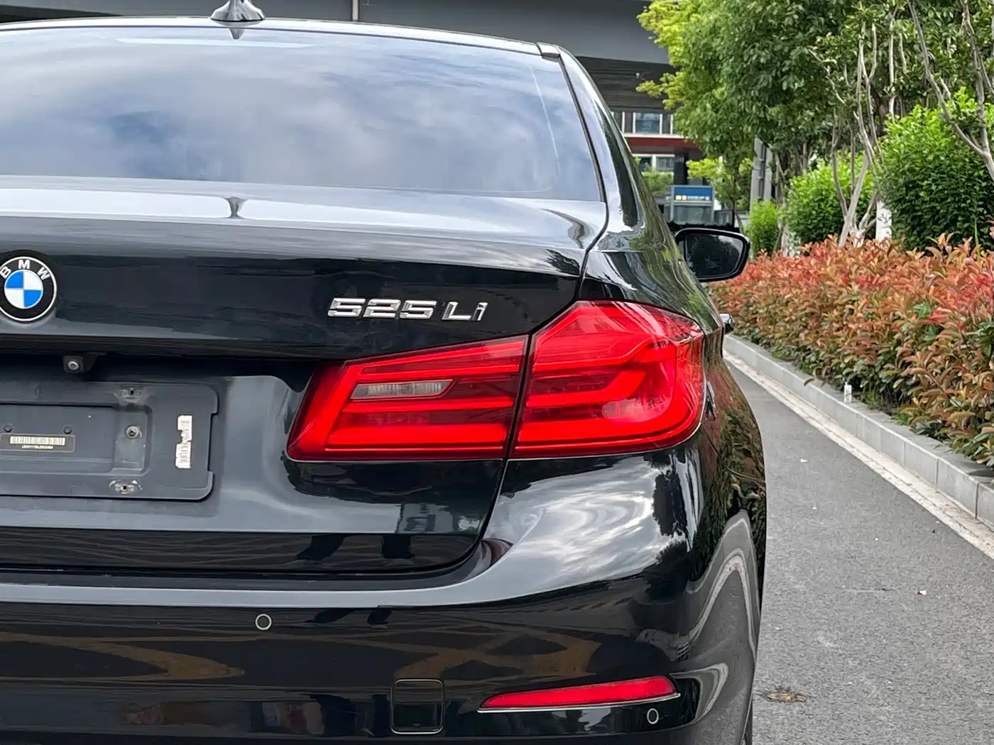 BMW 5 Series 2018 525Li Luxury Package фото 6