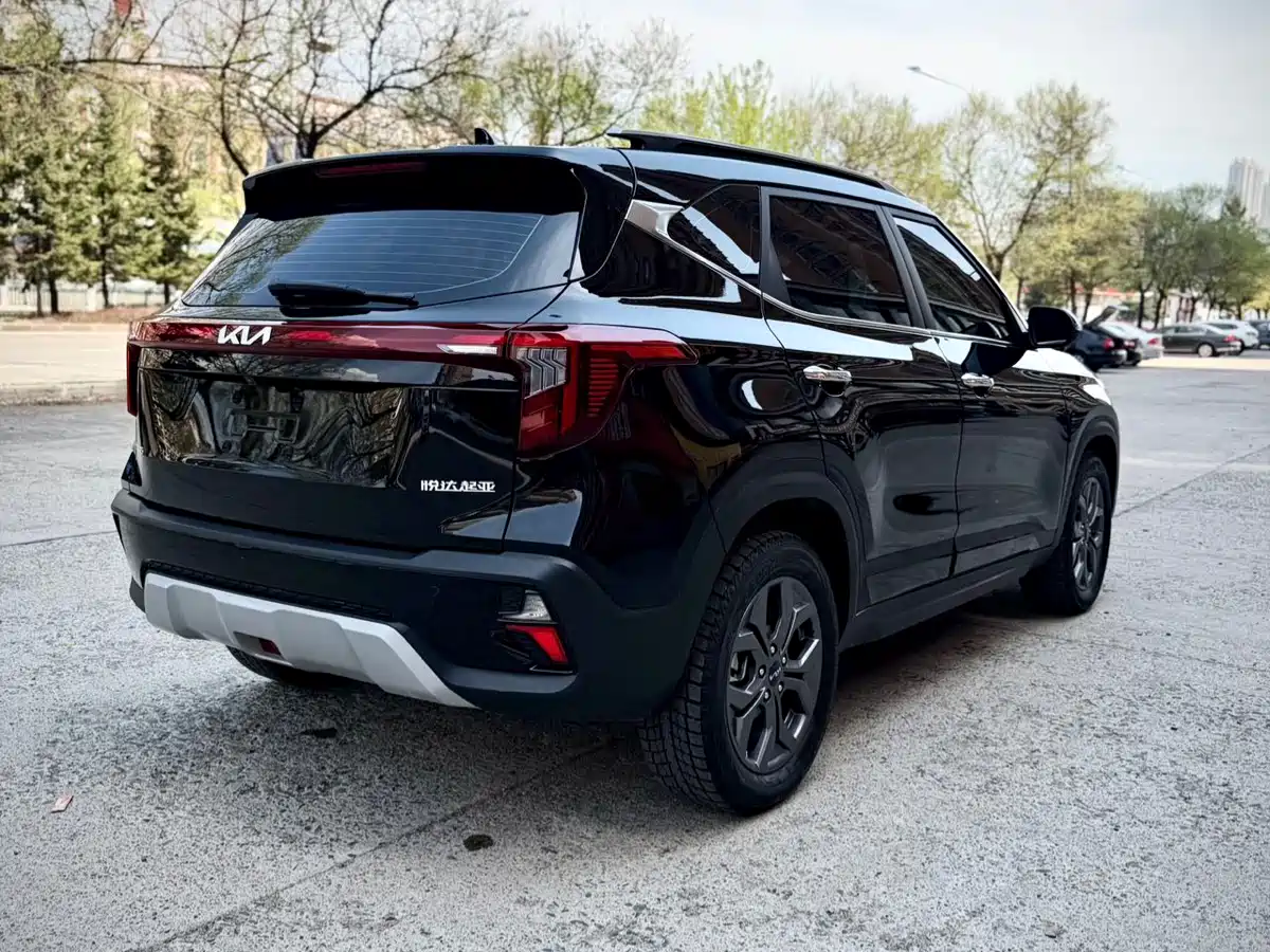 Kia Seltos 2023 1.5L CVT Luxury Edition фото 6