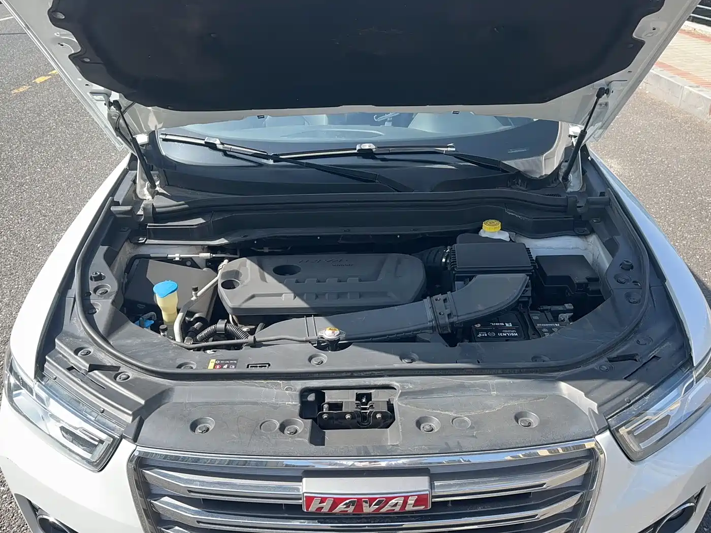 Haval H6 2017 Red Label 2.0T Auto 2WD Smart фото 26