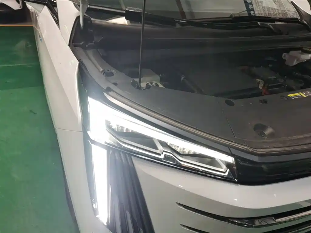 GAC Trumpchi Trumpchi E9 2023 E9 MAX фото 13