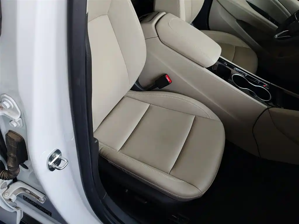 Buick Regal 2020 552T Elite фото 19