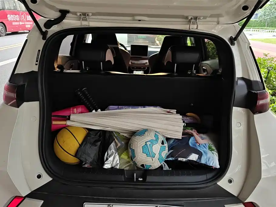 BYD Seagull 2024 Glory Edition 305km Vitality Edition фото 4