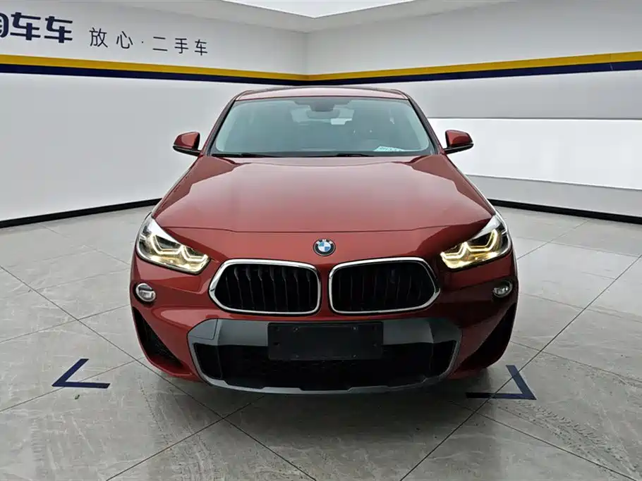 BMW X2 (Import) 2019 sDrive20i M Off-Road Package China VI фото 2