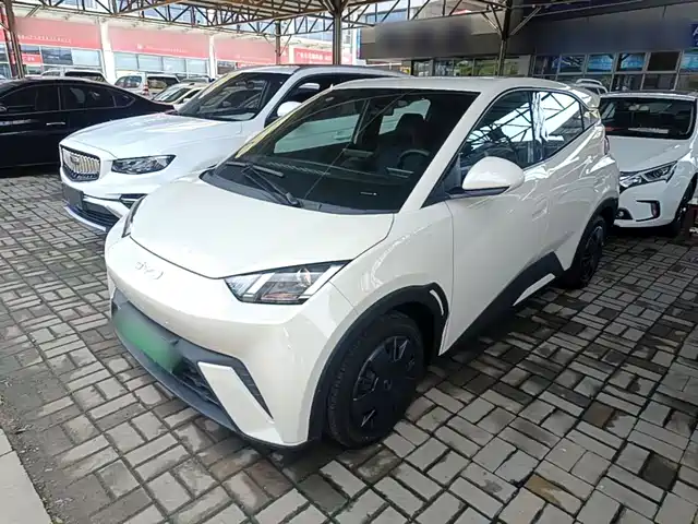 BYD Seagull 2024