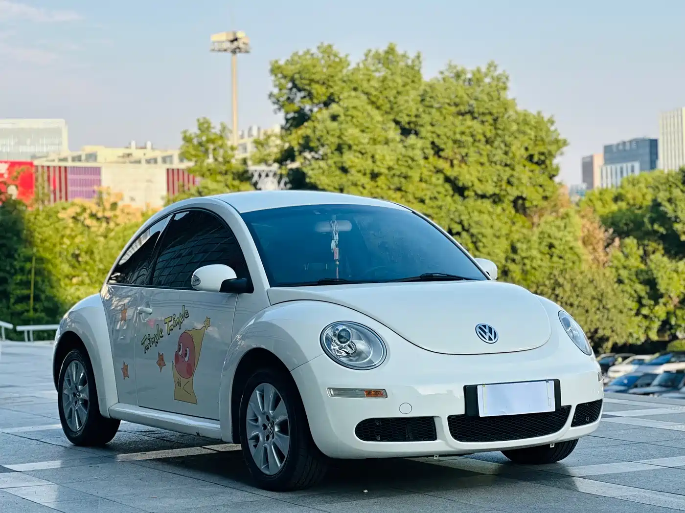 Volkswagen Beetle 2010 2010 Model 1.6 AT