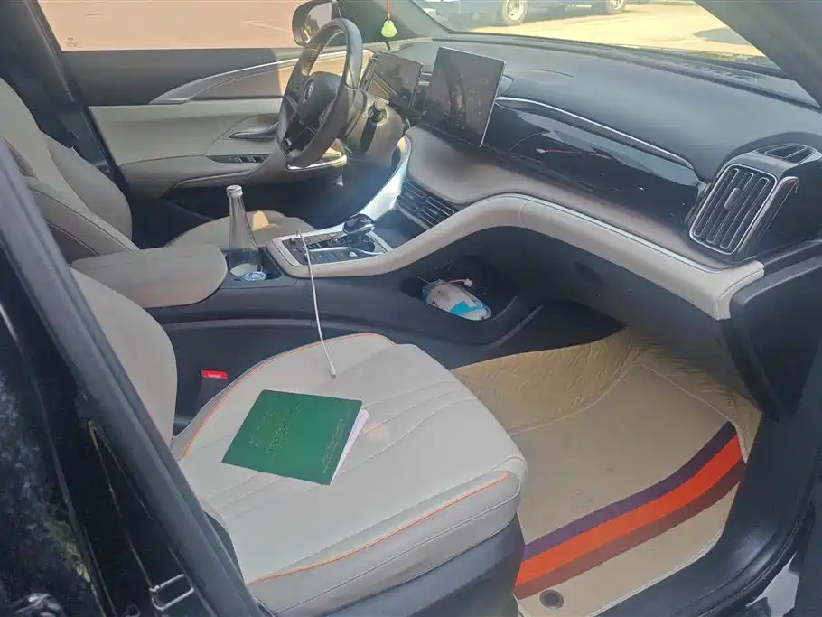 BYD Song Pro New Energy 2024 Glory Edition DM-i 71KM Pilot фото 8