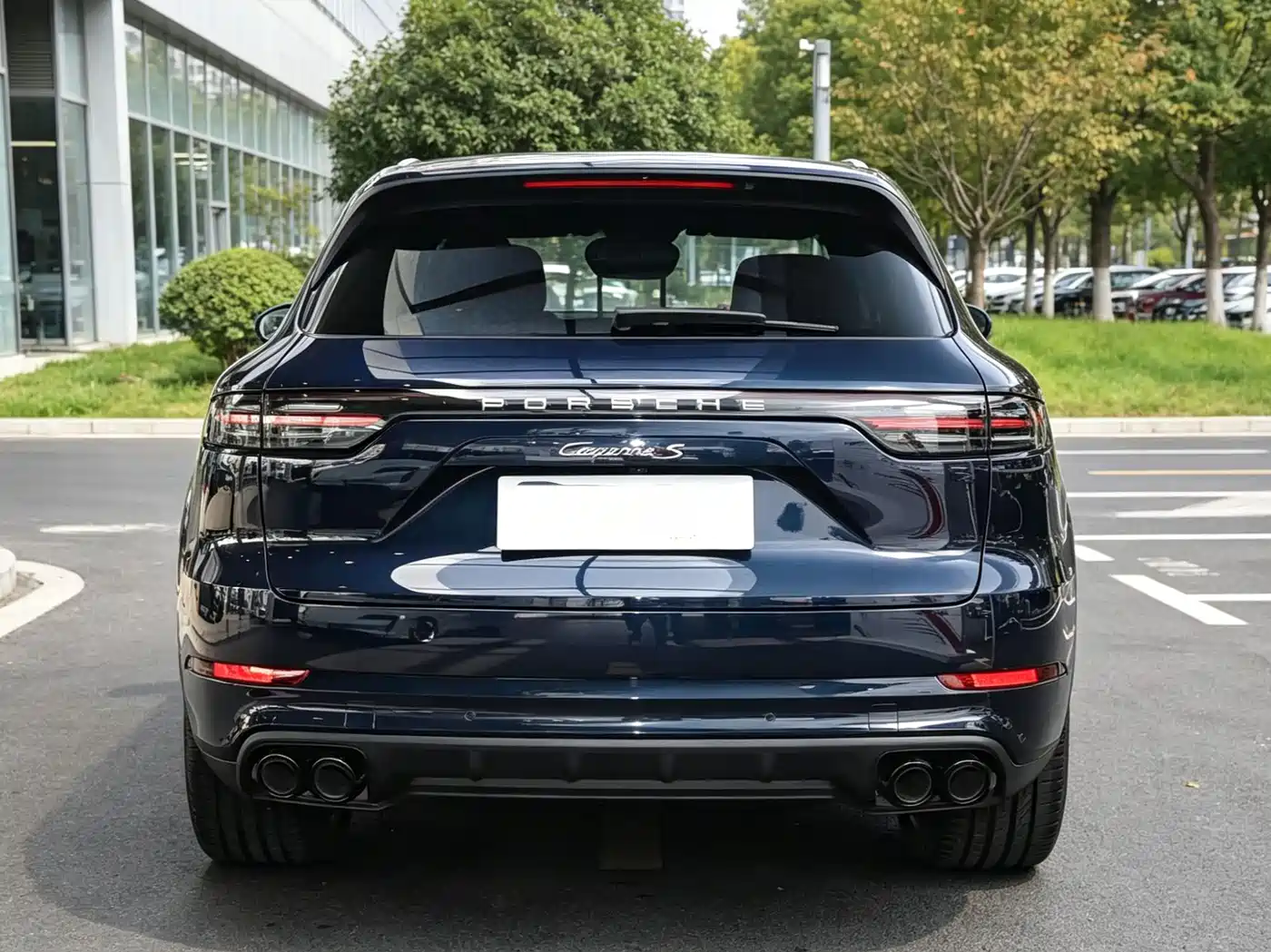 Porsche Cayenne 2023 Cayenne 3.0T Platinum Edition фото 9