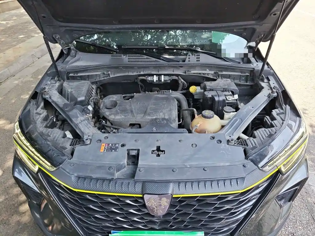Фото 21 - Roewe RX5