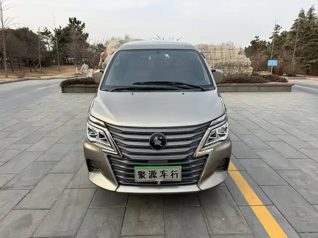 DONGFENG LINGZHI