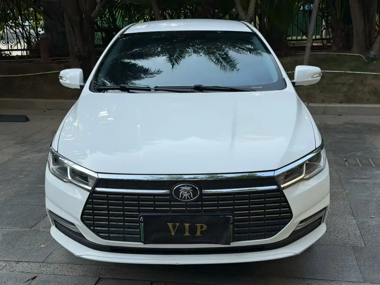 Фото 2 - BYD Qin New Energy