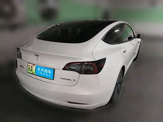 Tesla Model 3 2021 Standard Range Rear-Wheel Drive Upgrade — фото 2