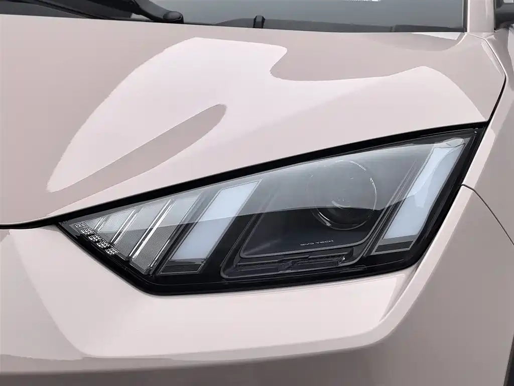 BYD Seagull 2025 305km Vitality фото 7