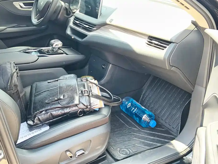 Hongqi E-QM5 2023 620km PLUS фото 8