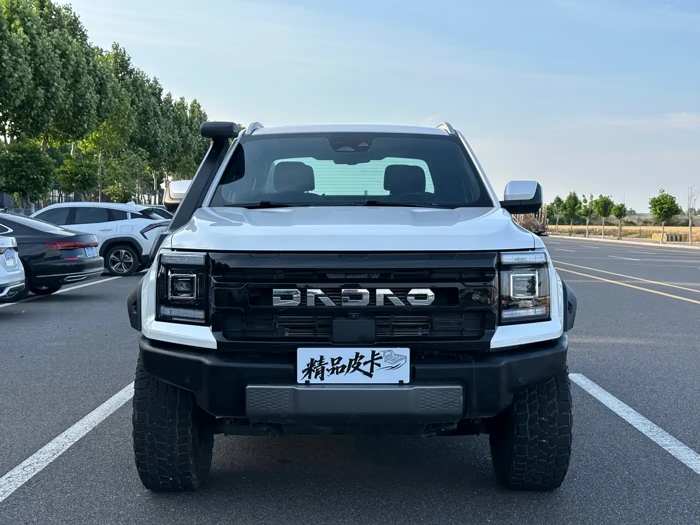 Jiangling Dadao 2023 2023 Flying General 2.3T Gasoline Automatic 4WD Extreme Edition