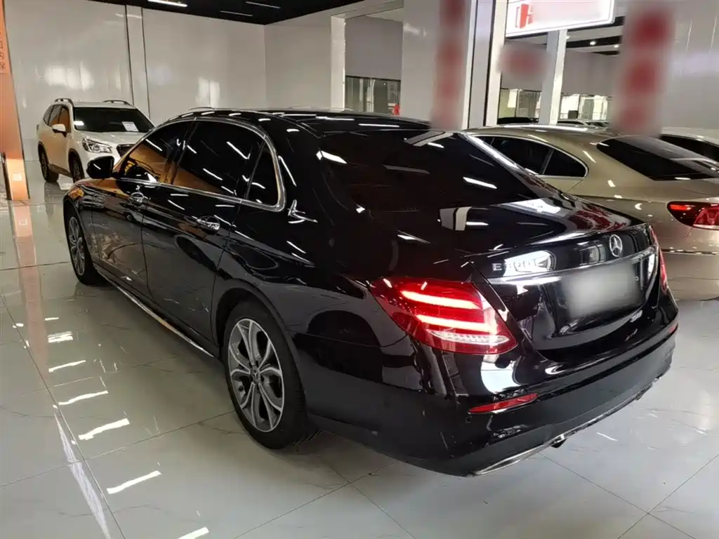 Mercedes-Benz E-Class 2020 E 300 L Sport Luxury Model фото 5