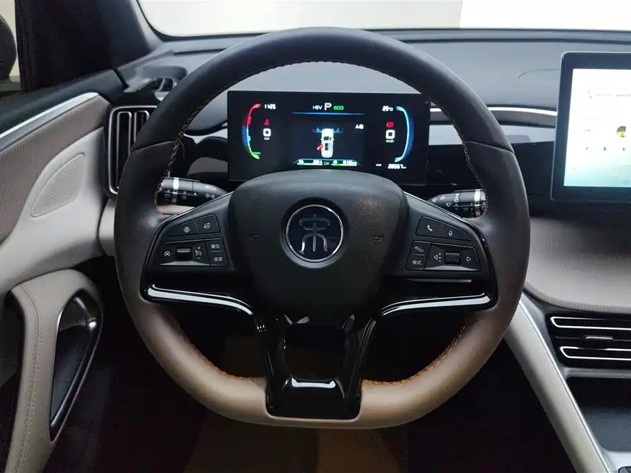 BYD Song Pro New Energy 2024 Glory Edition DM-i 71KM Pilot фото 15