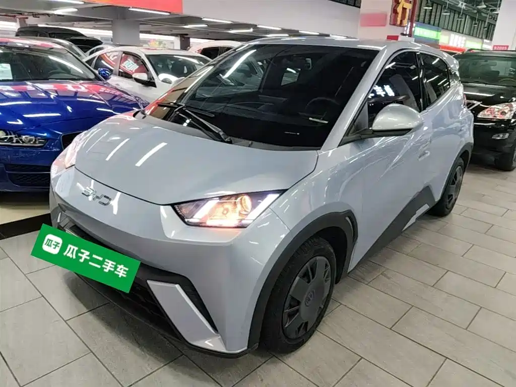 BYD Seagull 2024 Glory Edition 305km Vitality Edition