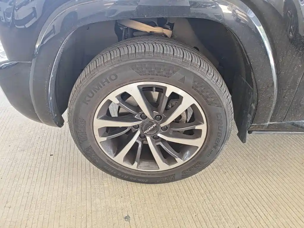 Haval H9 2025 2024 2.0T Gasoline AWD Extreme Edition