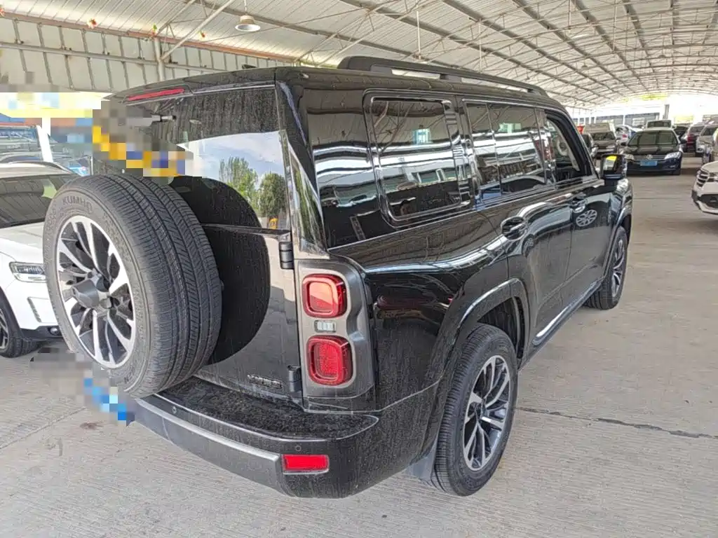 Haval H9 2025 2024 2.0T Gasoline AWD Extreme Edition