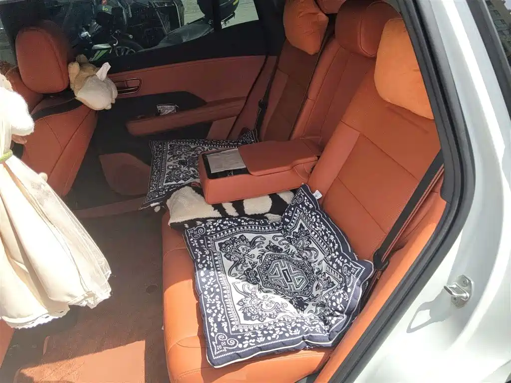 Toyota BoZhi 3X 2025 610 Max фото 14