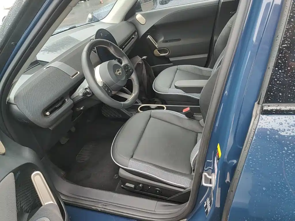 MINI Electric MINI ACEMAN 2024 2024 Model SE Artist
