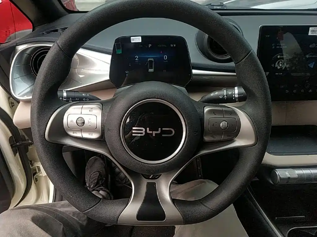 Photo 11 - BYD Dolphin
