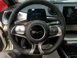 Photo 11 - BYD Dolphin