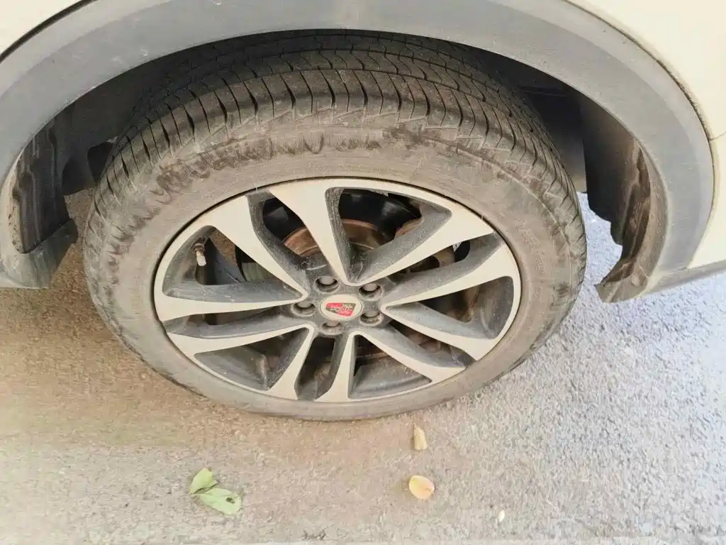 Фото 7 - Roewe RX3