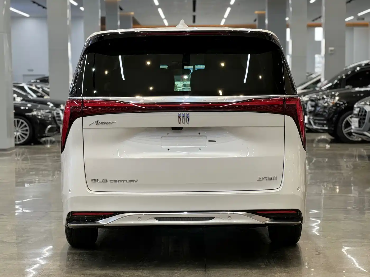 Buick Century 2025 2.0T 6-Seater World Edition фото 5