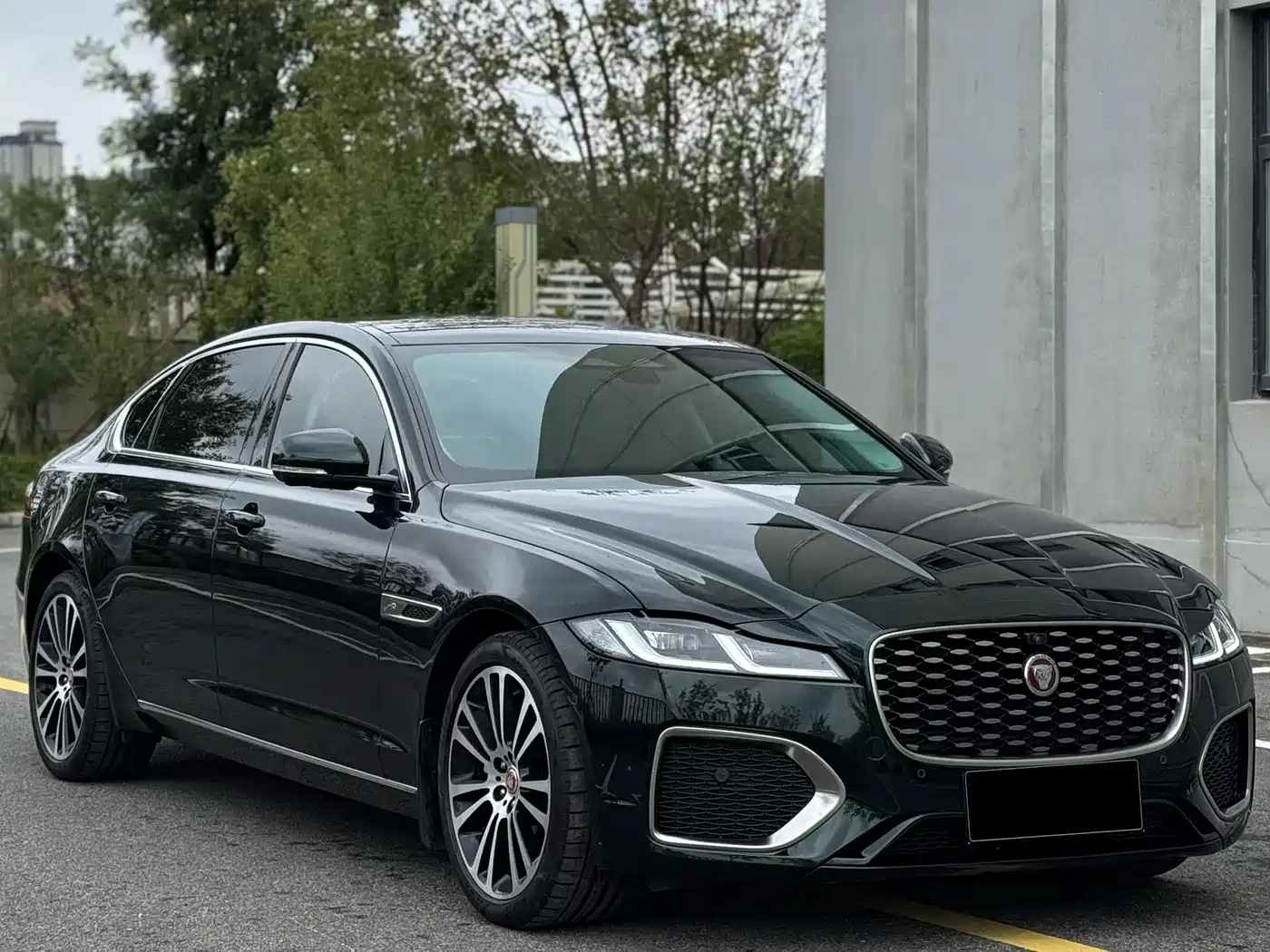Jaguar XFL 2025 2025 2.0T P250 FWD Luxury Edition