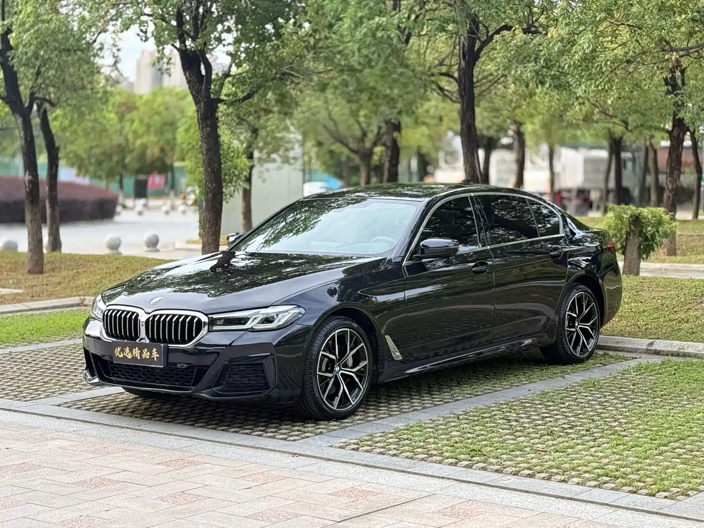 BMW 5 Series 2021 530Li Premium M Sport Package