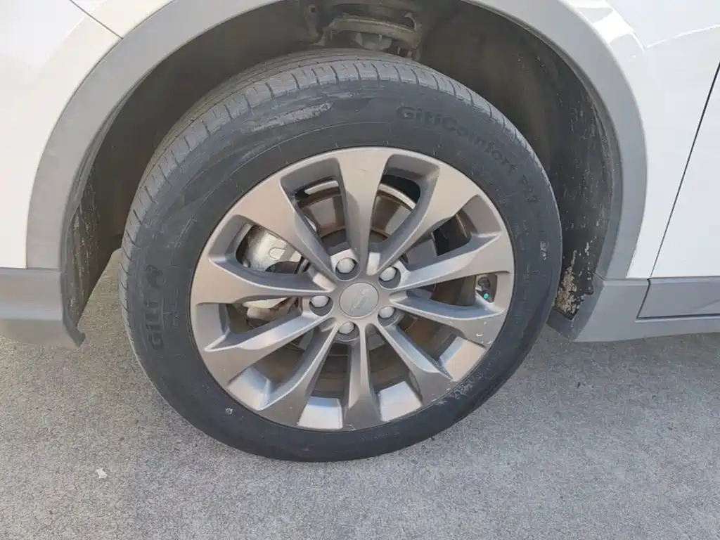 Geely Geometry C 2021 2020 Preferred Range Edition 400KM C+ Pro