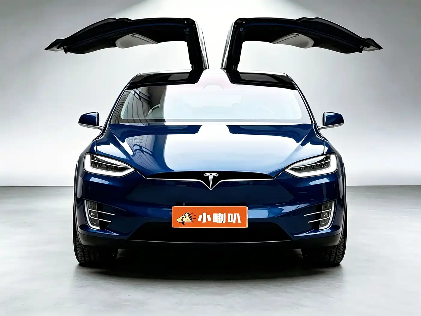 Tesla Model X 2016 2016 Model X 90D