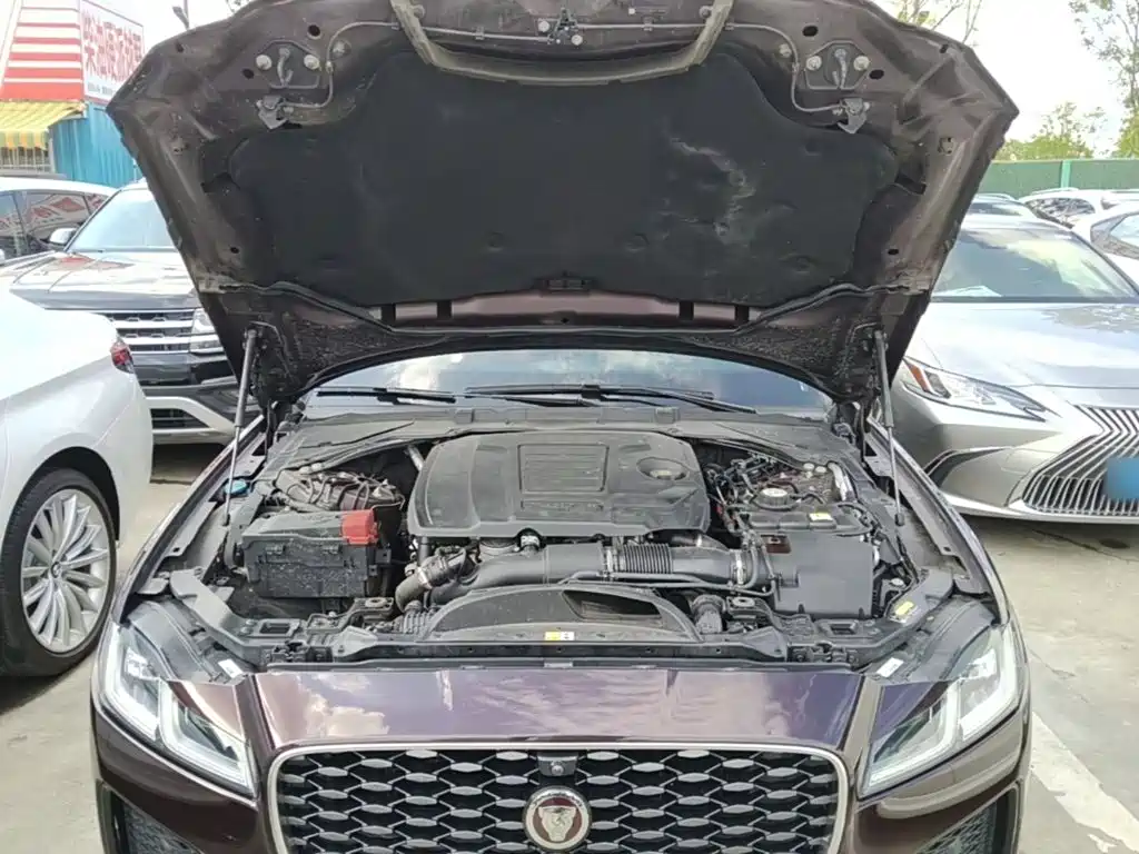 Фото 20 - Jaguar XFL