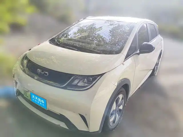 BYD Dolphin 2025