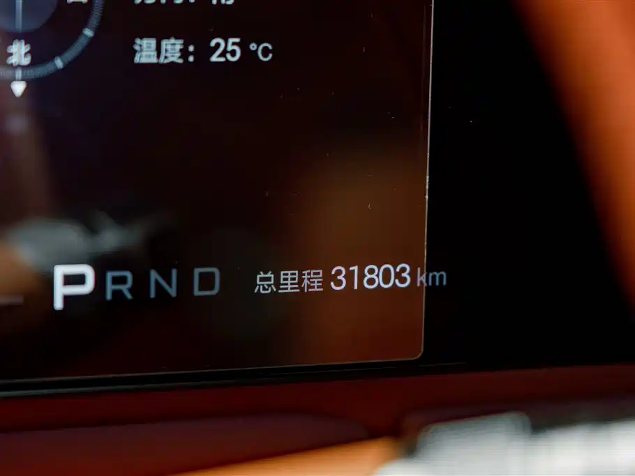 Yangwang U8 2024 2023 Luxury Edition