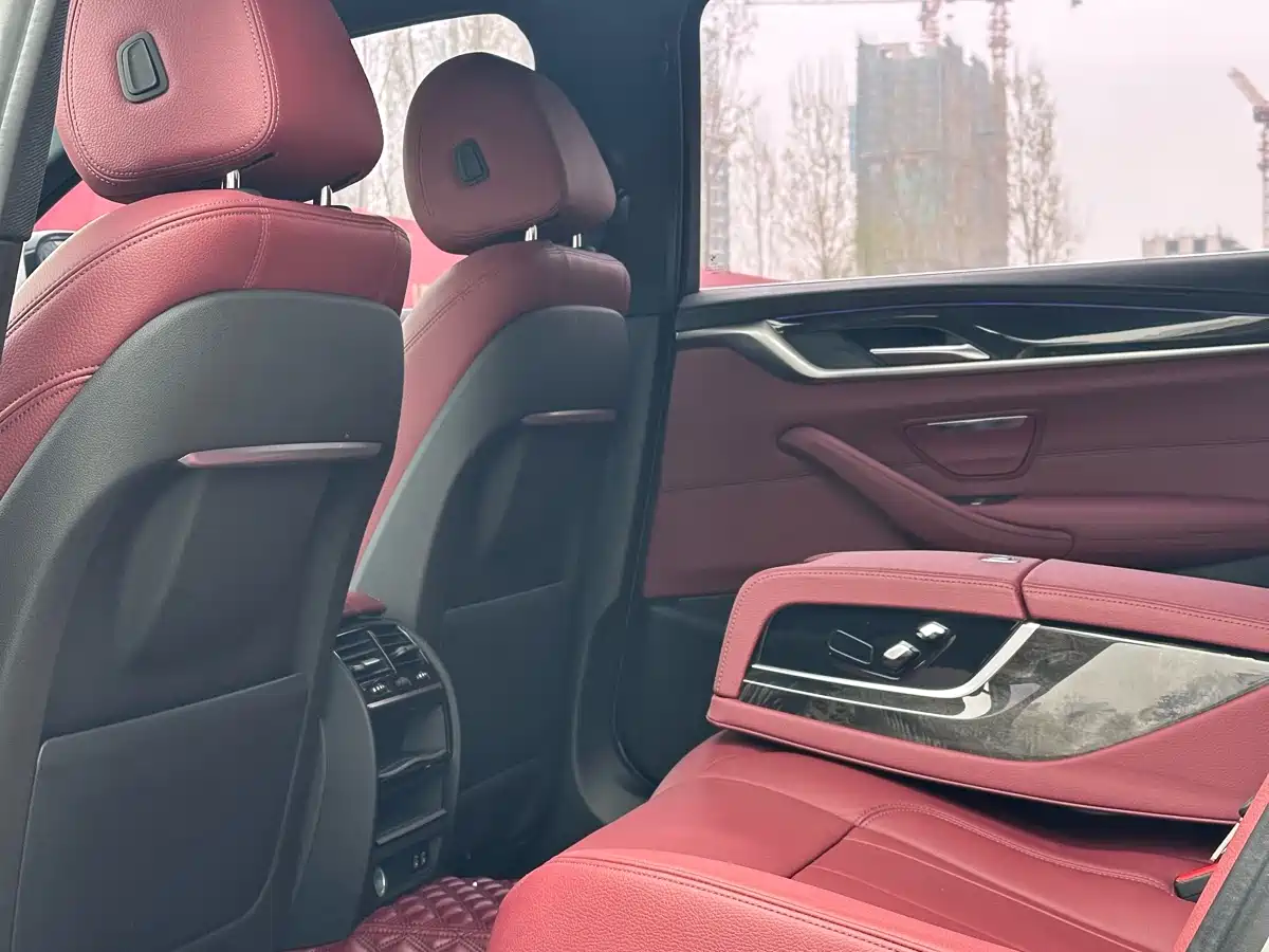 BMW 5 Series 2020 530Li Leading M Sport Package фото 5