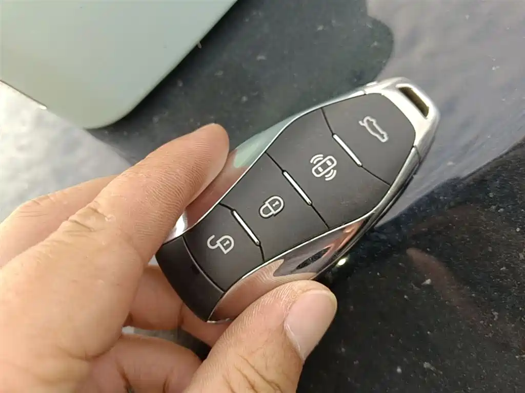 Hongqi HS7 PHEV 2024 2.0T PHEV AWD Qichang Edition 7-seater фото 9