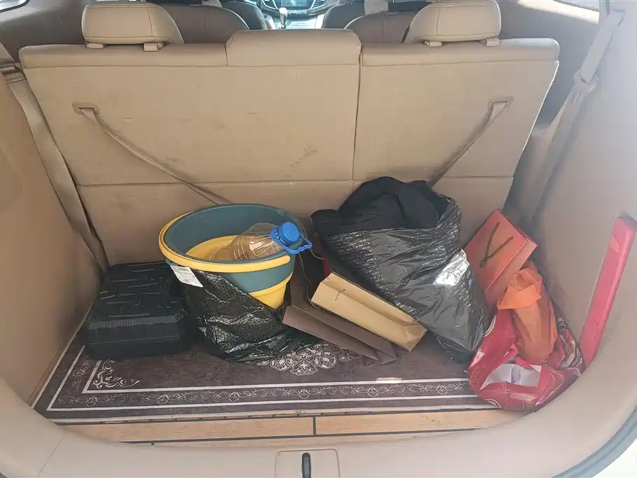 Buick GL8 2017 ES 28T Premium China V фото 4