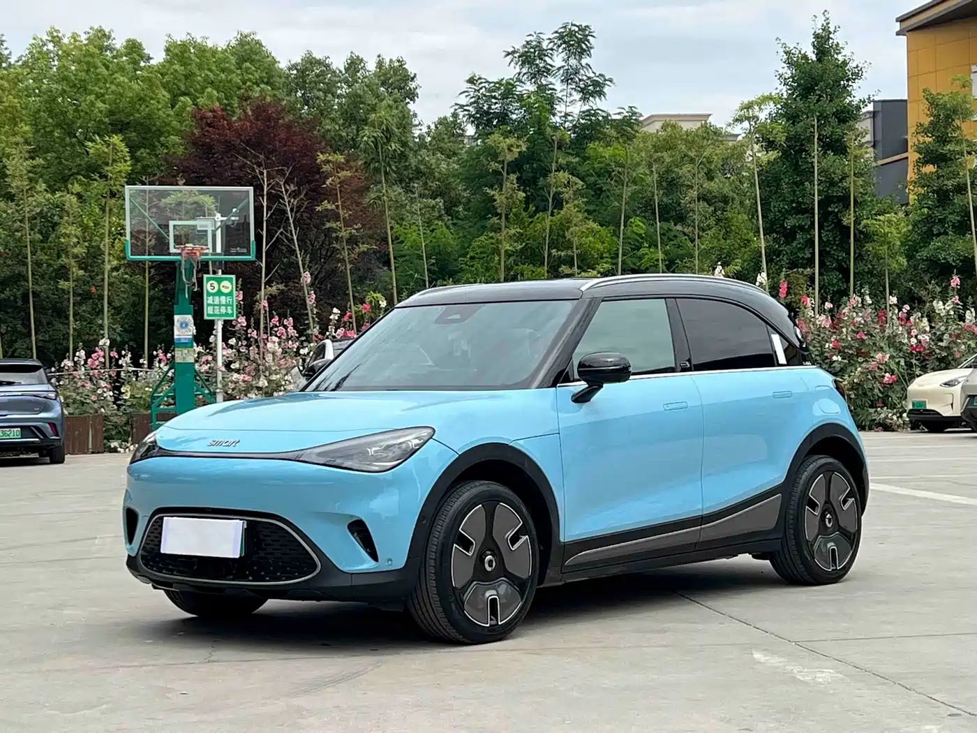 smart Elf #1 2022 Pro+ Edition