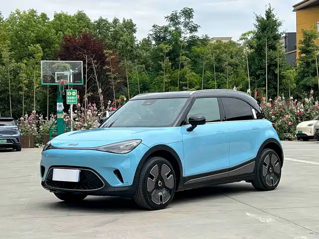 smart Elf #1 2022 Pro+ Edition