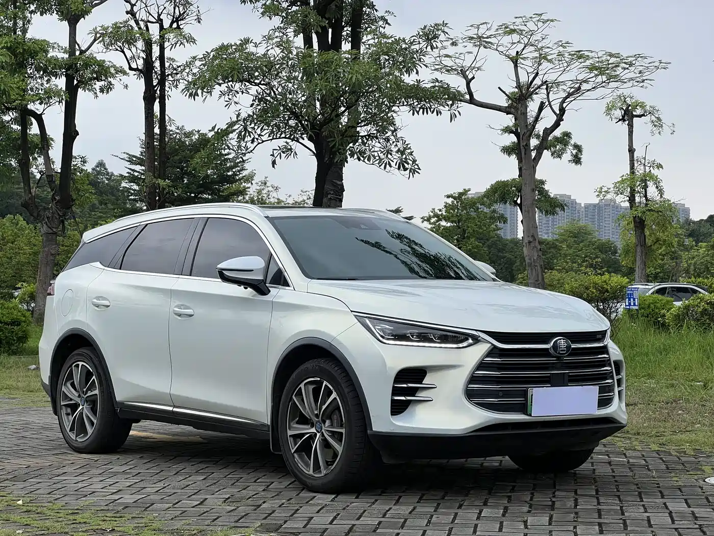 Фото 1 - BYD Tang New Energy