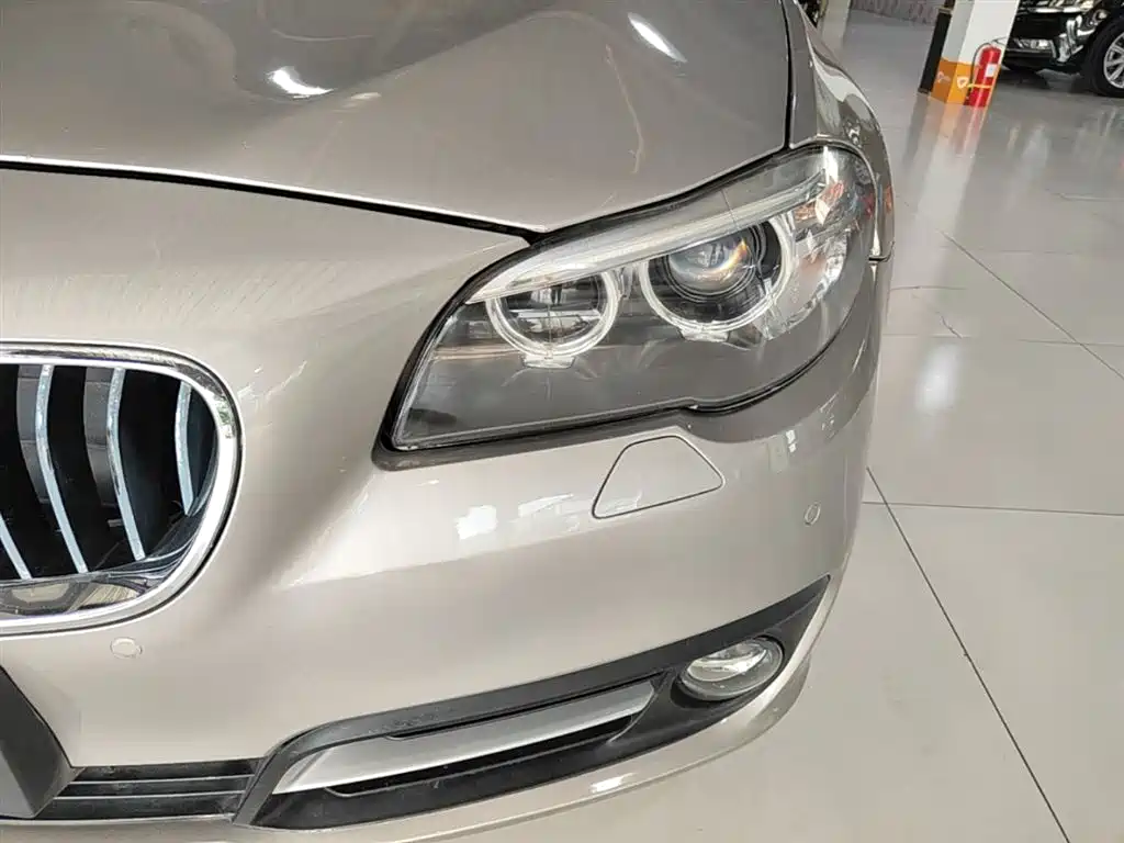 BMW 5 Series 2014 525Li Leading фото 24