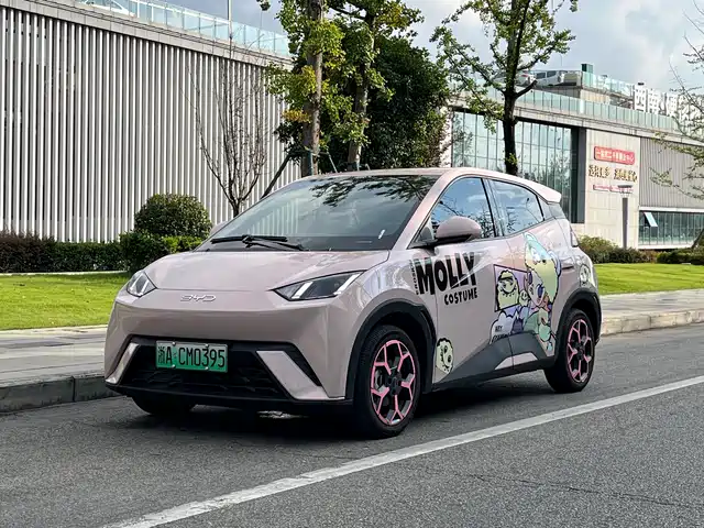 BYD Seagull 2024