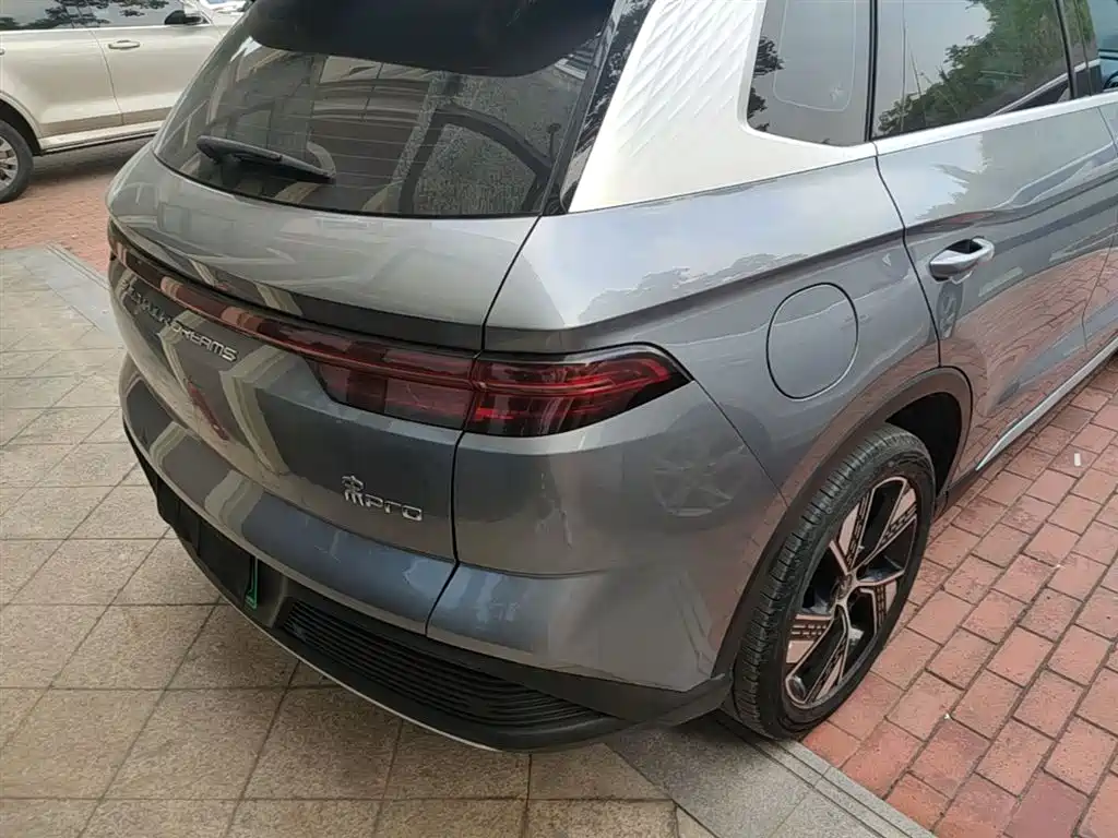 BYD Song Pro New Energy 2024 Glory Edition DM-i 110KM Excellence фото 8