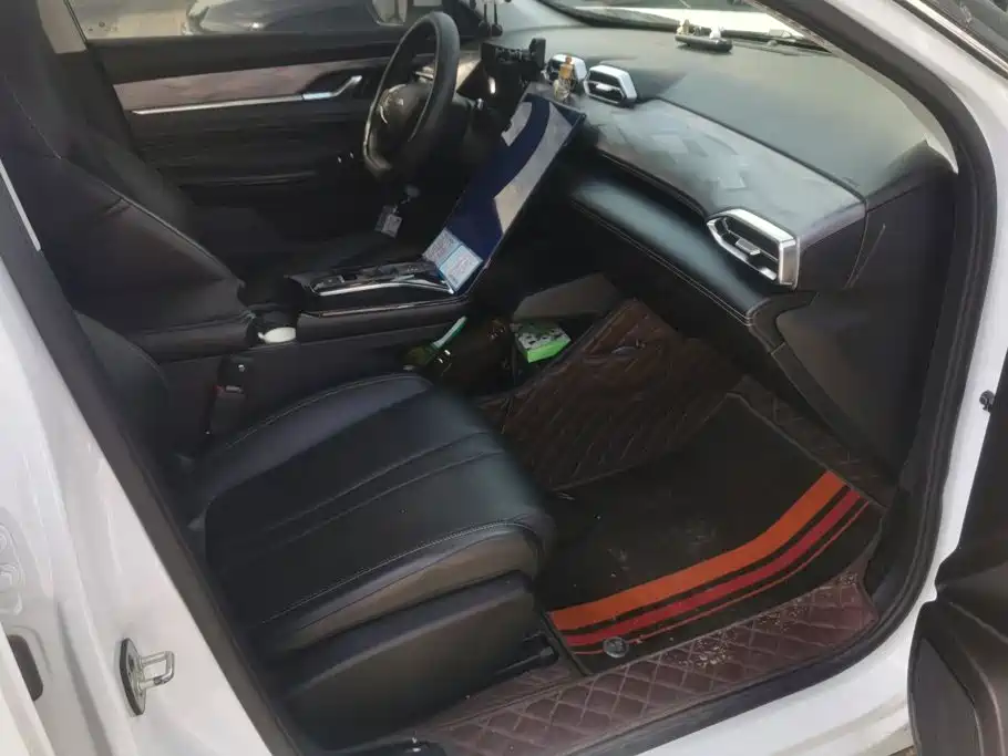 Dongfeng Aeolus Haohan 2024 2023 1.5T Luxury Edition